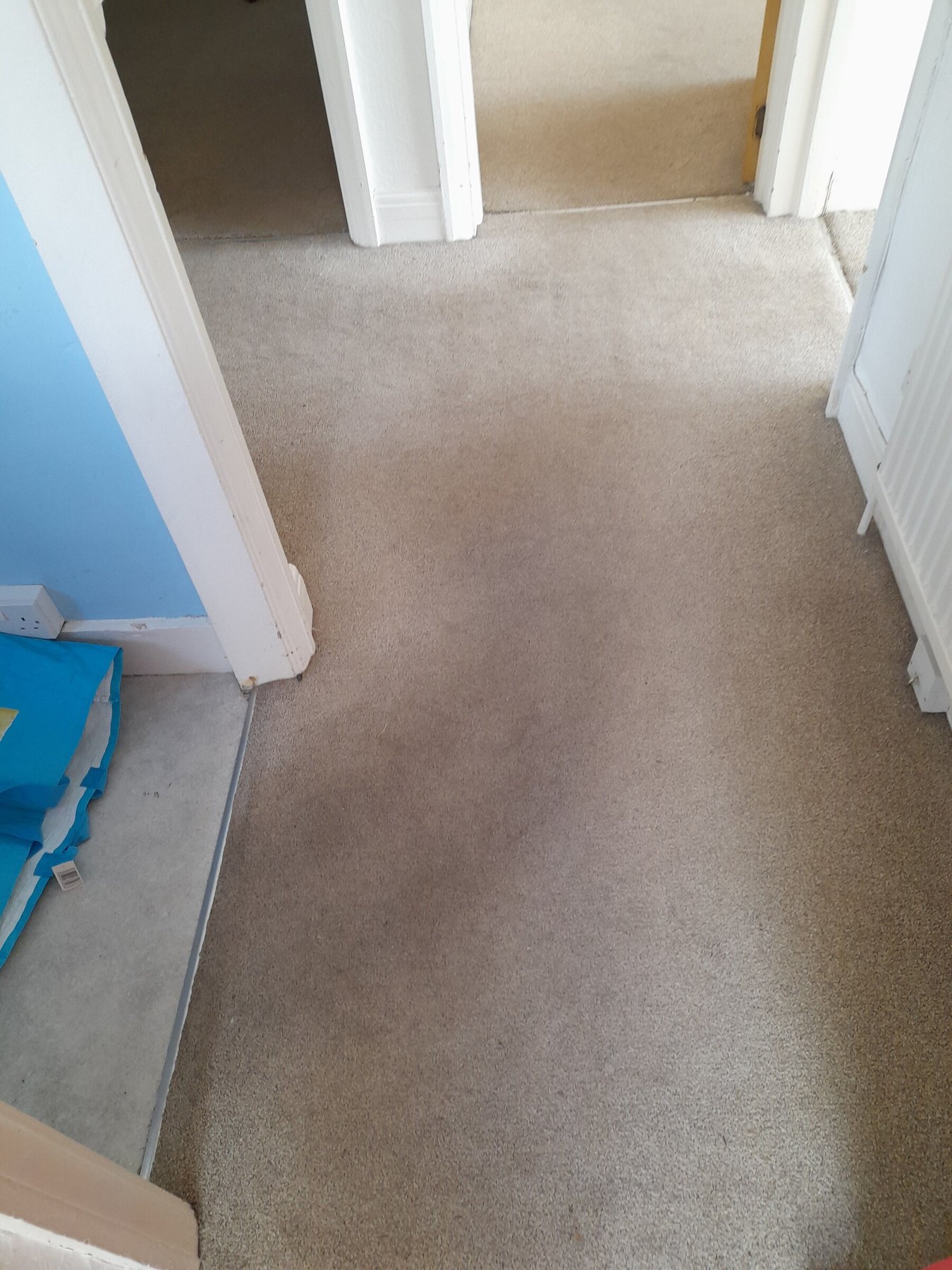 Carpet after genuine GrimeBreakers refresh